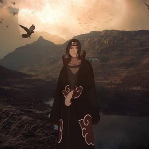 Meet your Posher, Elvis